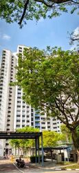 Blk 109A Depot Heights (Bukit Merah), HDB 4 Rooms #543067451